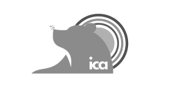 partner-ICA